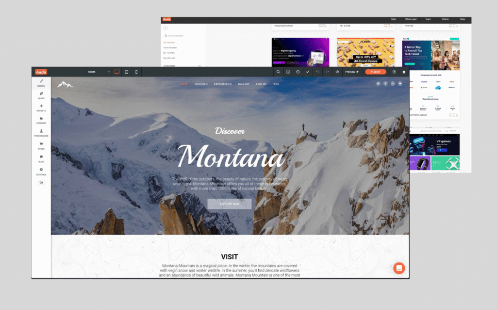 Duda Expert Services Include Web designing